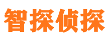 兴县市调查公司